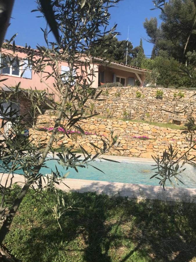Hauteurs De Toulon : Charmant Studio Piscine Extérieur photo